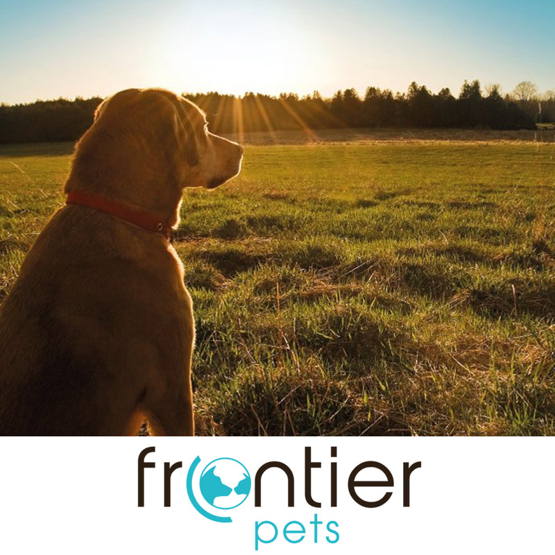 Ethically Freeze Dried Dog & Cat Food