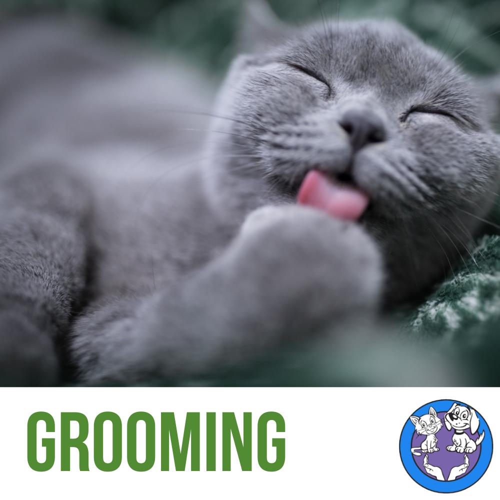 Natural Grooming Products
