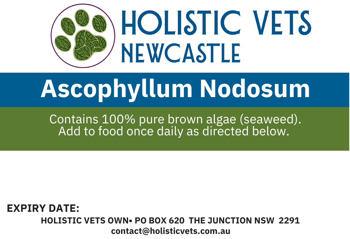 Seaweed - Ascophyllum Nodosum