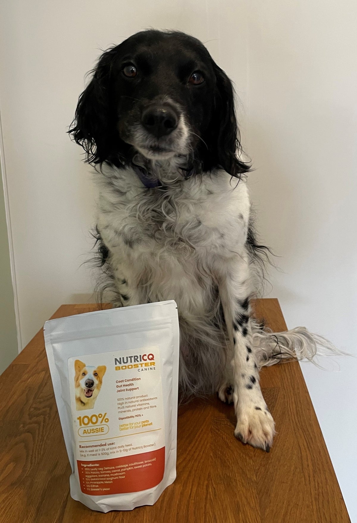 NutriCQ Booster