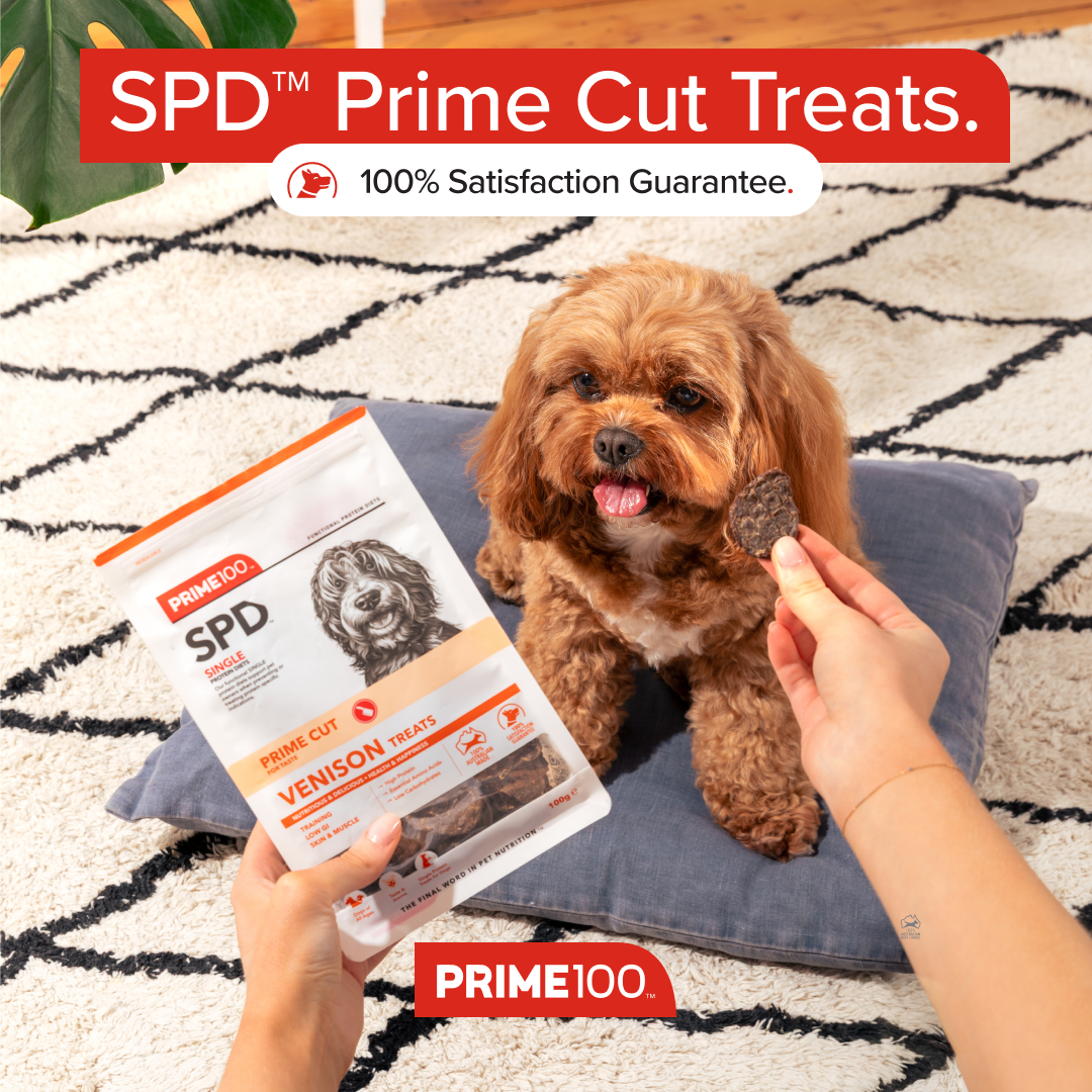 Prime100 Treats