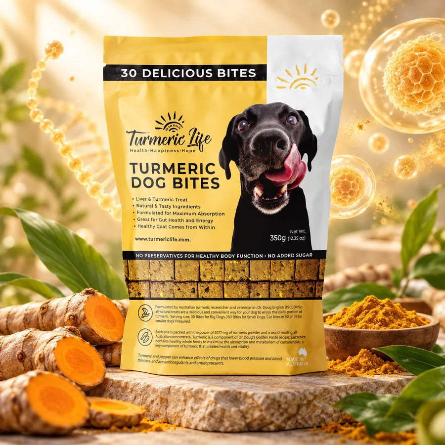 Turmeric Dog Bites - Turmeric Life