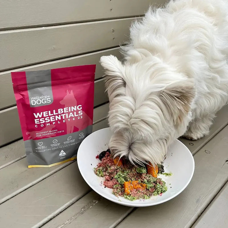 Wellbeing Essentials for Dogs
