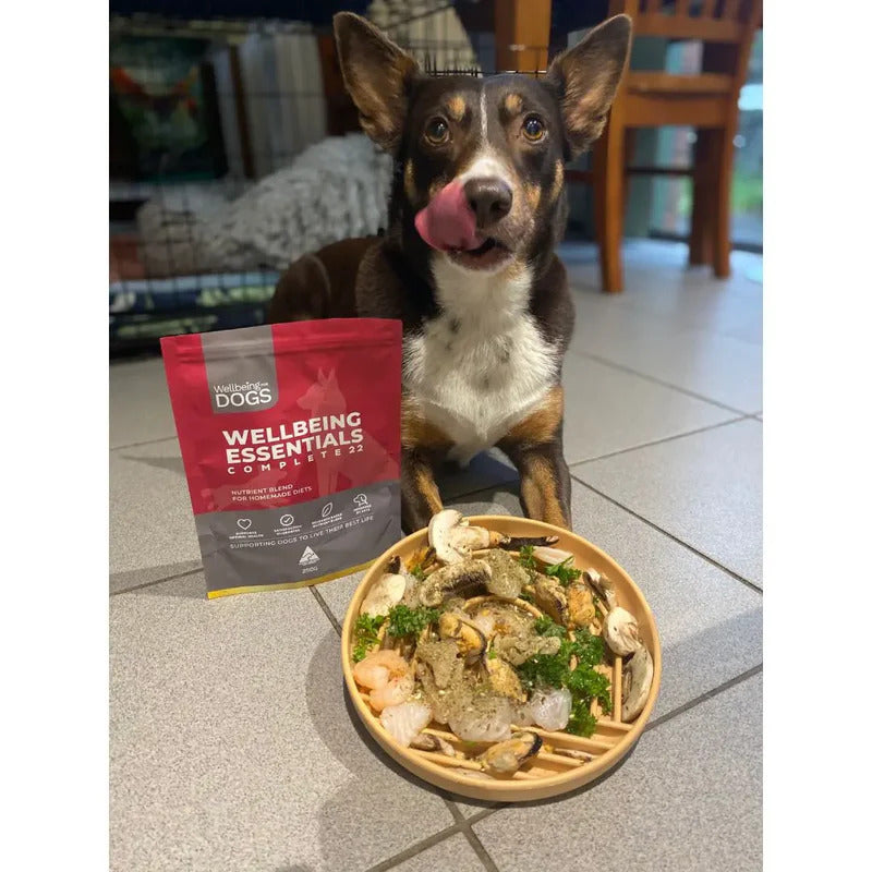 Wellbeing Essentials for Dogs