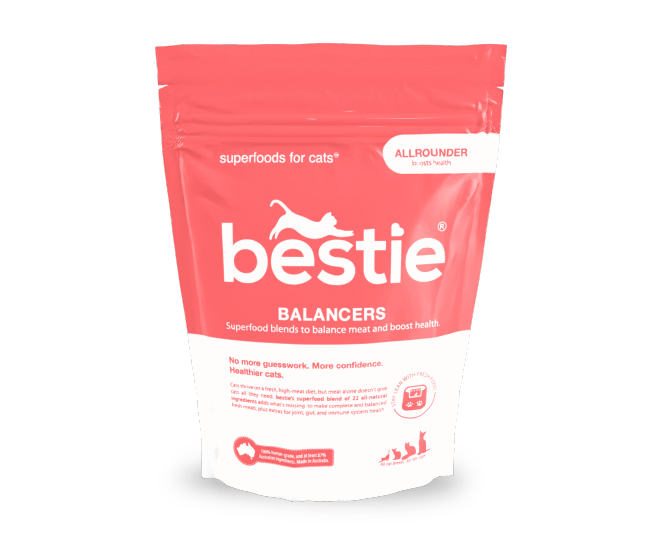 Bestie Balancer: the allrounder for Cats (350g)